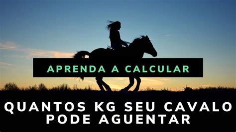 quantos km um cavalo corre